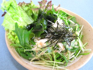 �����ƃW���R�̃T���_